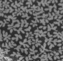 Kenneth Cole Chill Flowers Sheet Set