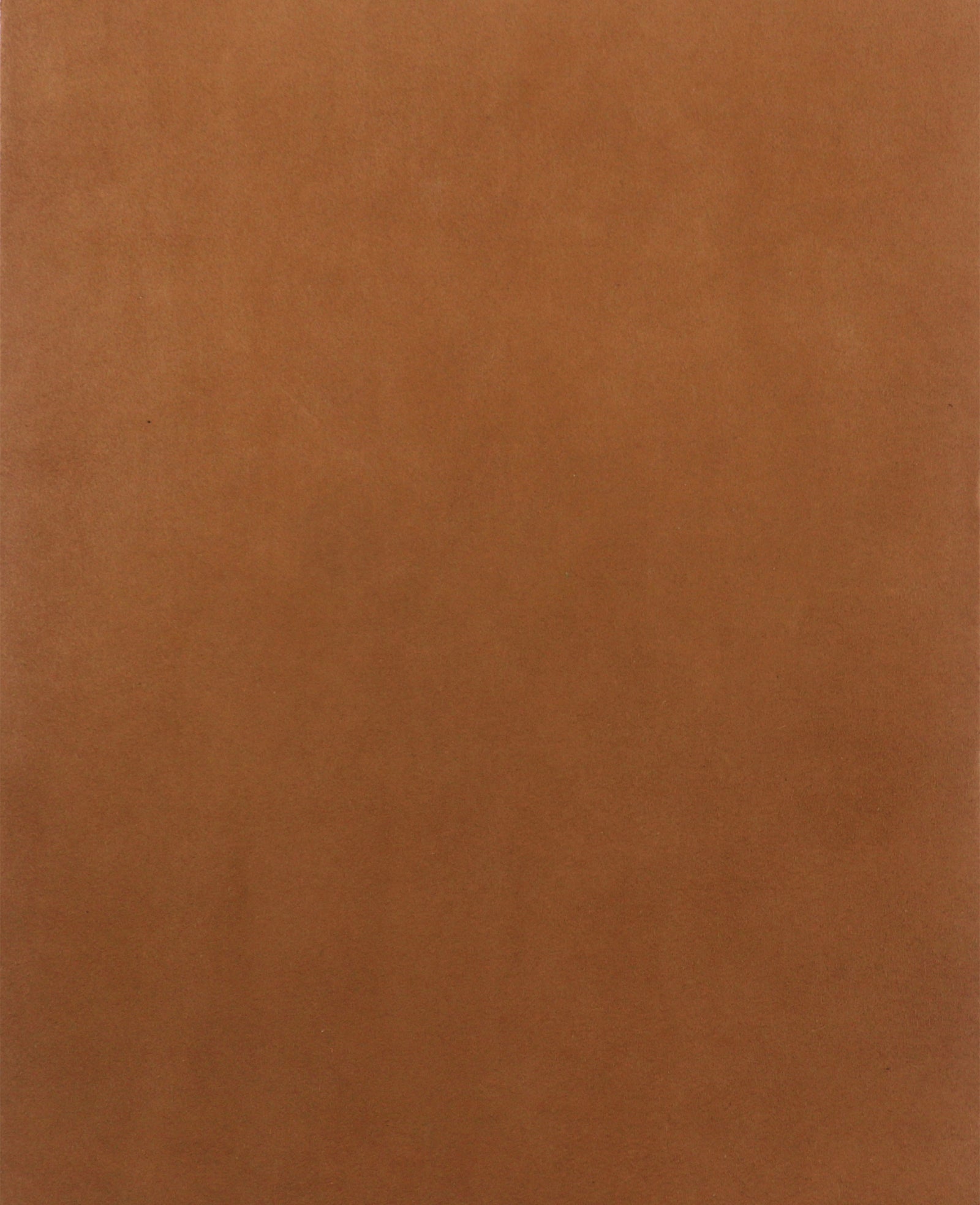 Kenneth Cole Shop Gentle Souls Crew Camel Suede Loafer | Kenneth Cole