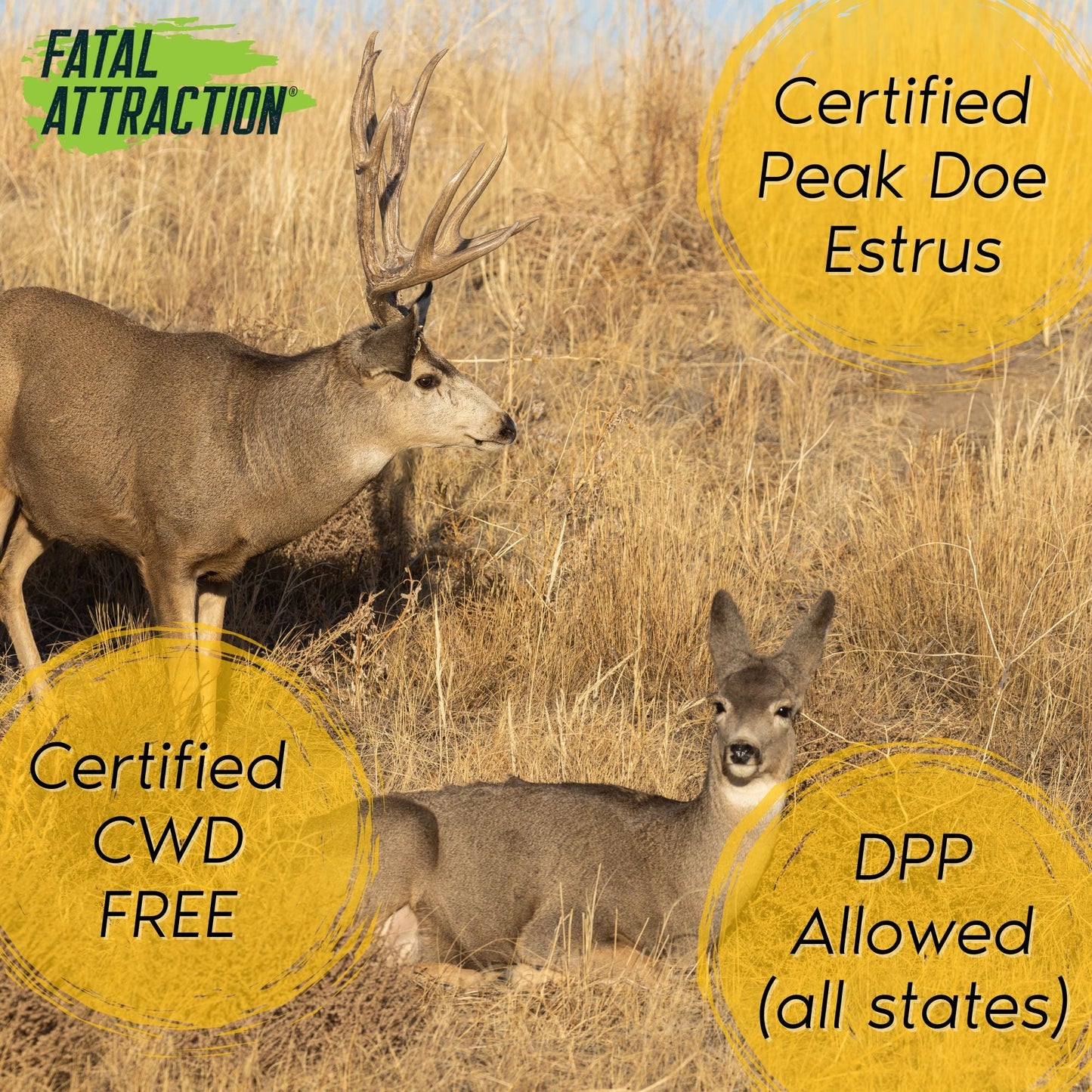 Realtree Zone Protects Fatal Attraction Deer Attractant Peak Doe Estrus - Realtree EDGE