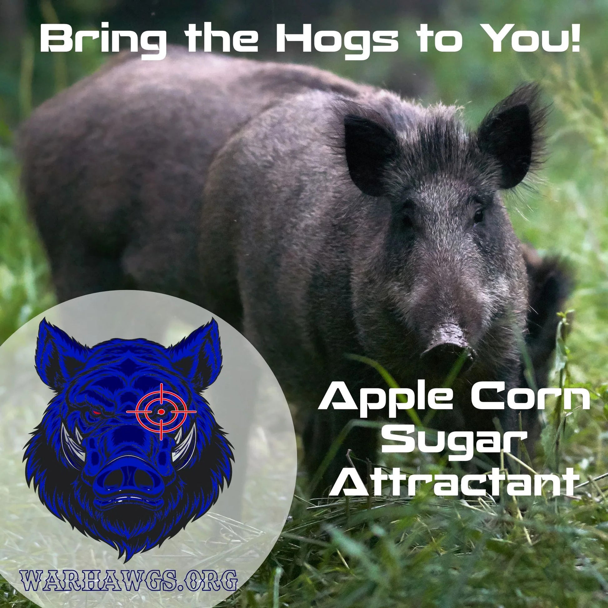 Realtree Zone Protects Fatal Attraction Warhawg Wild Hog Attractant – Apple Corn 16oz - Realtree