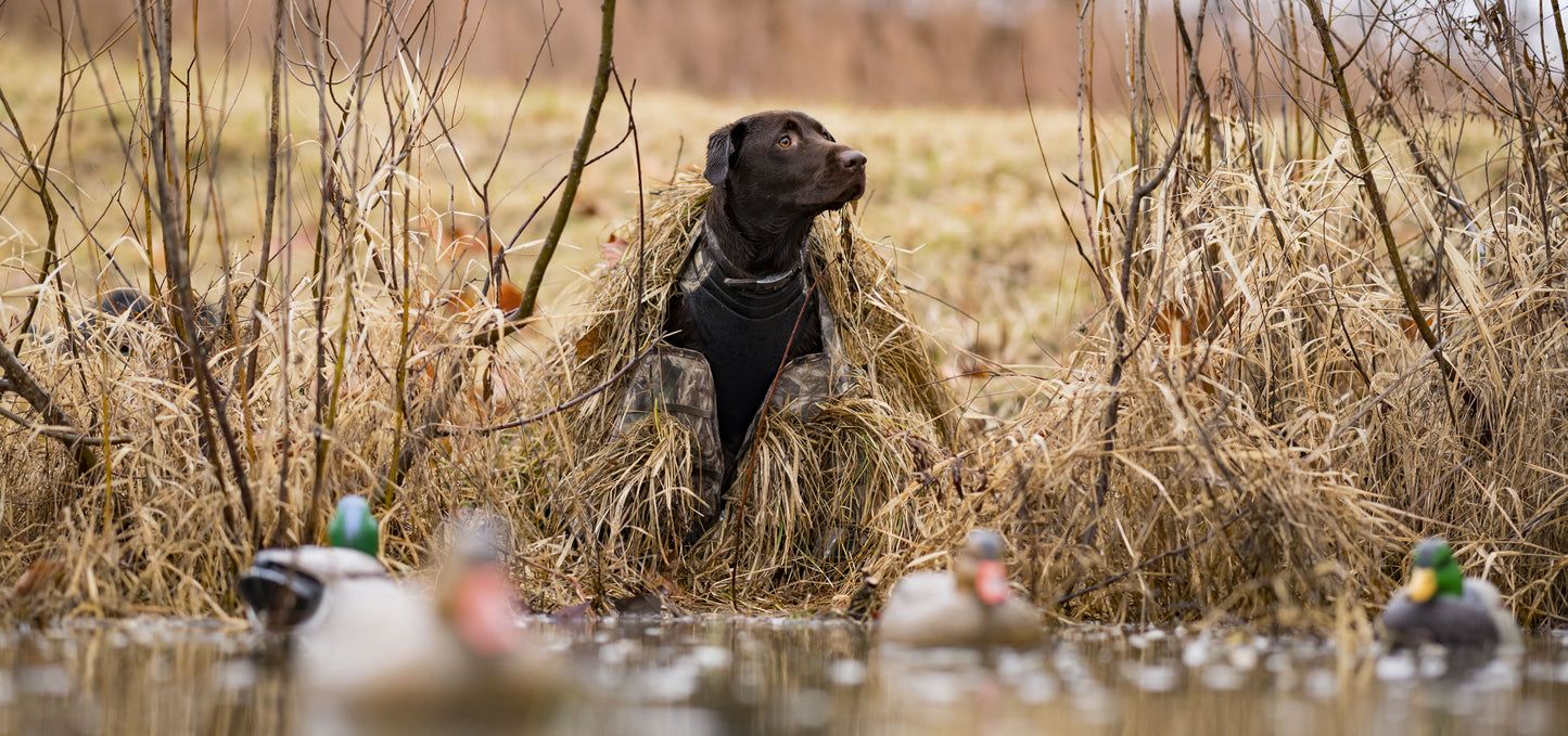 Realtree ALPS OutdoorZ Alpha Dog Blind - MAX-7