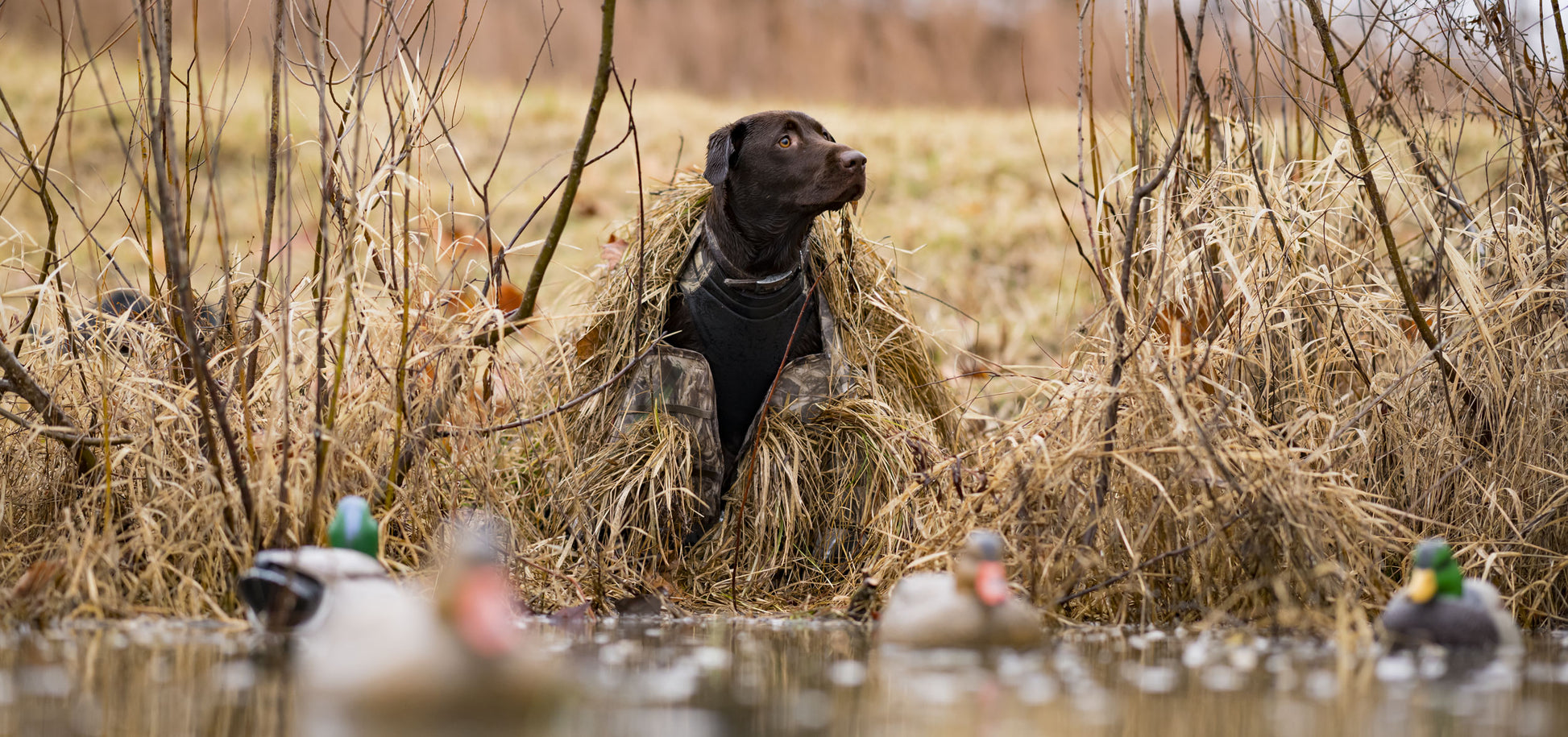 Realtree ALPS OutdoorZ Alpha Dog Blind - MAX-7