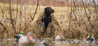 Realtree ALPS OutdoorZ Alpha Dog Blind - MAX-7